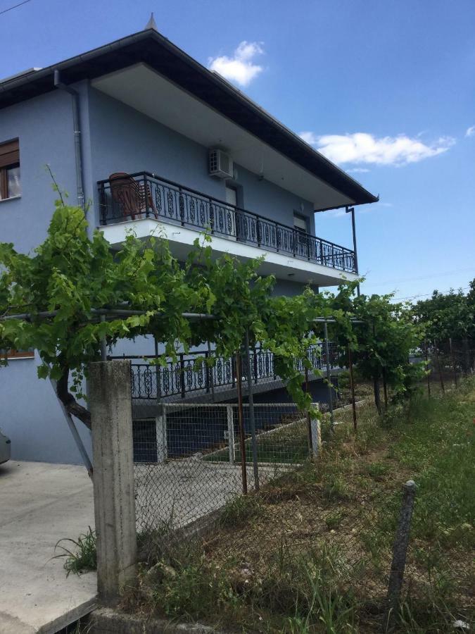 Mario'S House Apartment Vergina Exterior photo
